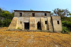 Casa Colonica con Terreno - Sant'Elpidio a Mare