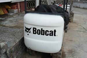 mini bobcat