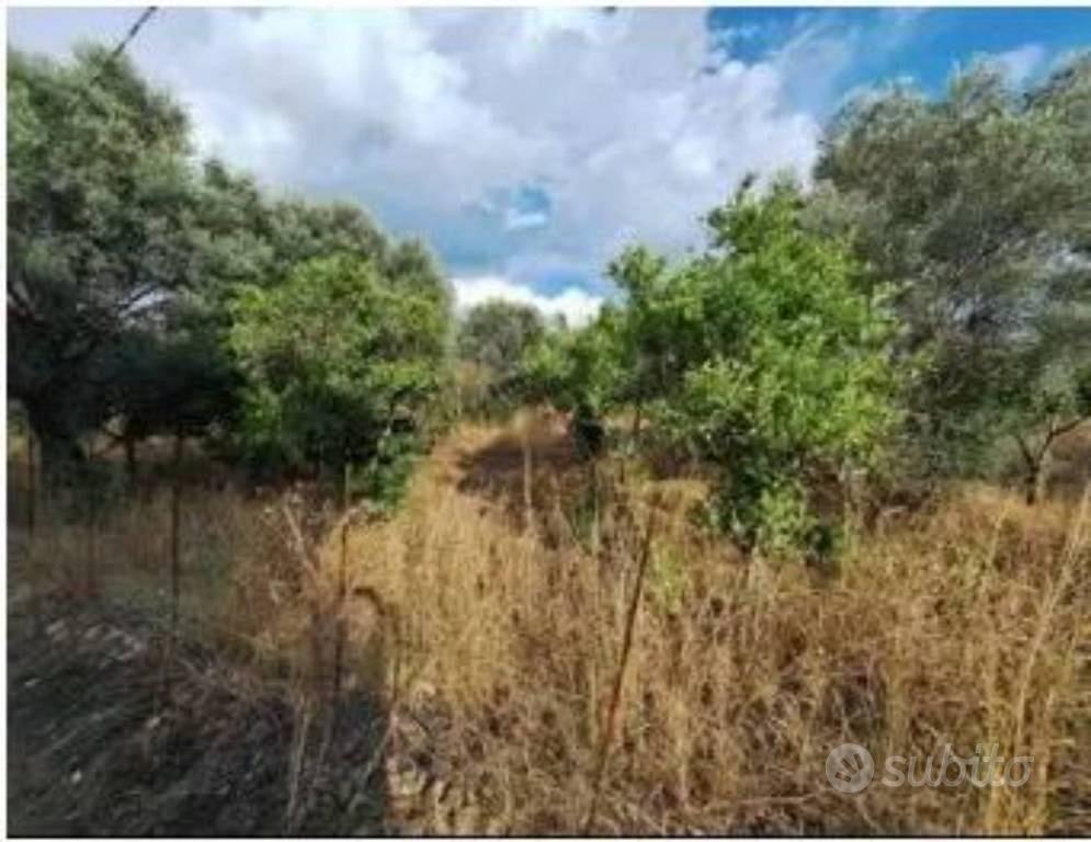 Immobile in asta di 470 m² a Bovalino - Vista 5