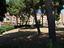 Immagine 29