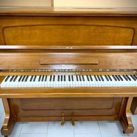 Thurmer pianoforte acustico verticale tedesco