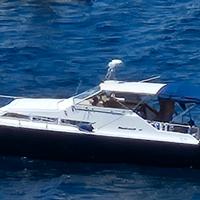 Mochi Craft 31