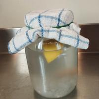 barattolo per kefir d'acqua 
