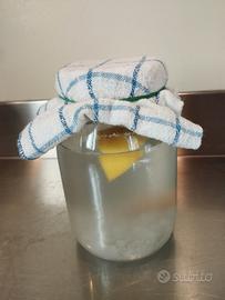 barattolo per kefir d'acqua 