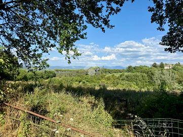 TER. AGRICOLO A ORTE