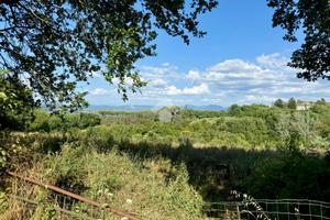 TER. AGRICOLO A ORTE