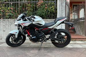 Kawasaki Z650 2022
