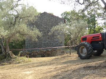 Rustico parzialmente deruto da ristrutturare