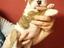 Immagine 1