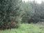 Immagine 12