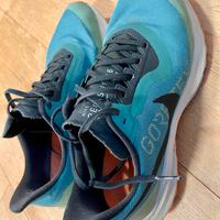 Scarpe Nike Pegasus Goretex