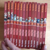 14 volumi Manga della serie  " Fairy Tail "