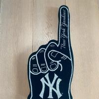 The New York Yankees Baseball  Mano Spugna Stadio