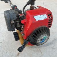 Decespugliatore frullino