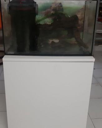 acquario 60  lt con mobile