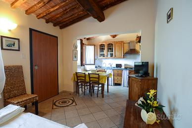 Appartamento con Giardino vicino Braccagni