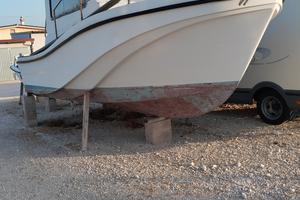 mare zeta Phoenix 21