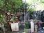 Immagine 26