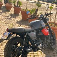Moto Guzzi V7 Carbon ed. limitata