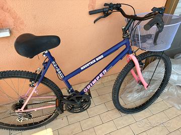 Bicicletta MTB
