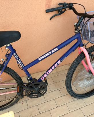 Bicicletta MTB