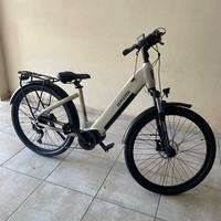 Bici elettrica