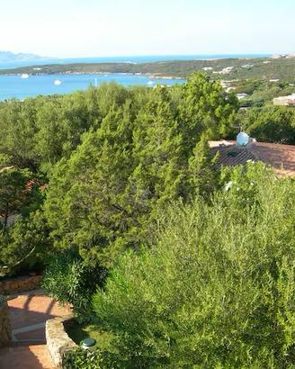 Multiproprietà Costa Smeralda