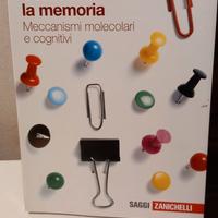 Come funziona la memoria - Squire/Kandel