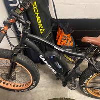 Fat bike elettrica Whistle