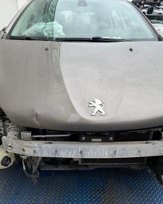 RICAMBI USATI AUTO VARI PEUGEOT 208 2013 1200 BENZ