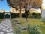 Immagine 27