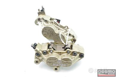 Coppia pinze freno anteriori Brembo oro 65mm Ducat