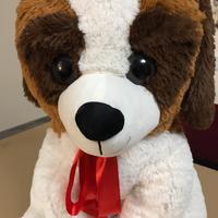 Peluche San Bernardo