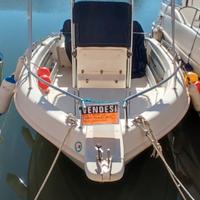 Barca con motore fuoribordo