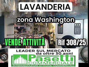 Zona Washington, LAVANDERIA