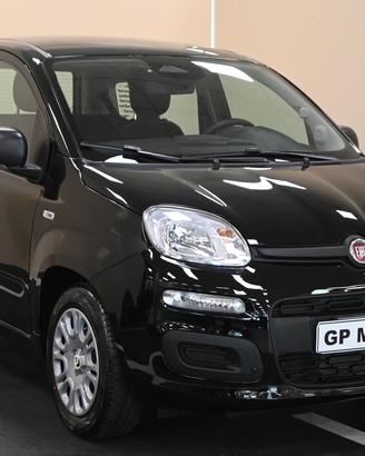 FIAT Pandina Pandina 1.0 FireFly 65 CV Hybrid Pop