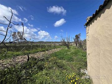 Terreno di 12000 mq con casa