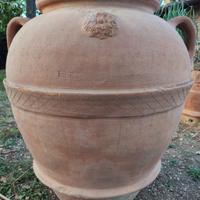 orcio fece Domenico Soderi