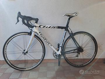 Wilier Triestina Carbonio Evergreen 