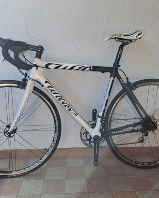 Wilier Triestina Carbonio Evergreen 