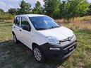 fiat-panda-0-9-twinair-turbo-van-12-2021-5p