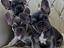 Immagine 26