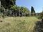 Immagine 10