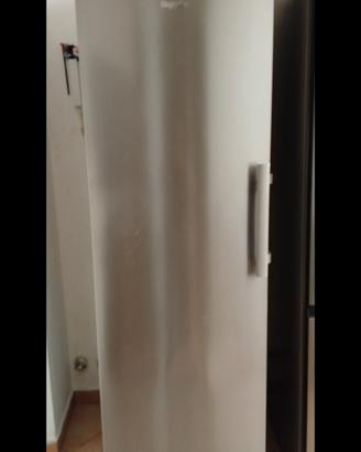 frigo 