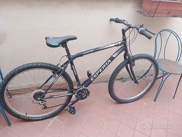 bicicletta