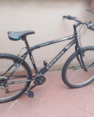 bicicletta