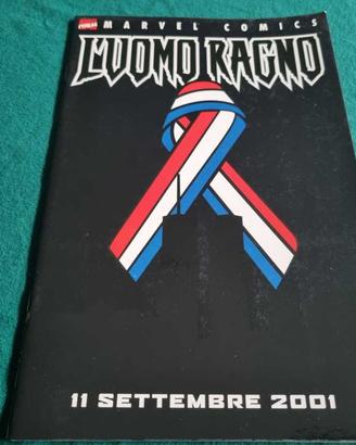Uomo Ragno: 11 Settembre 2001