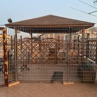 Gazebo in legno 4 x 4
