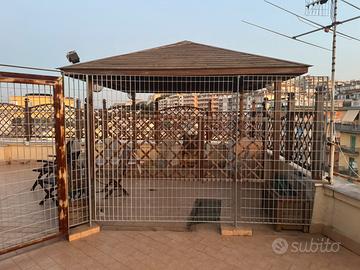 Gazebo in legno 4 x 4