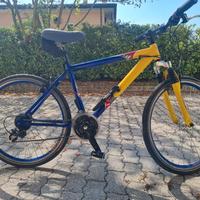 MTB bici